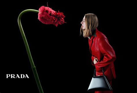 prada candy advertising|prada flower seeds 2023.